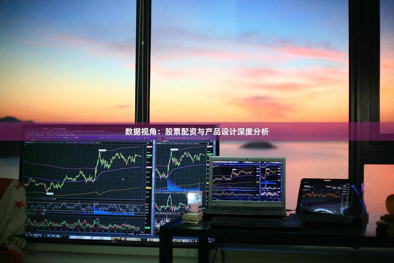 数据视角：股票配资与产品设计深度分析