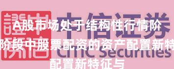 A股市场处于结构性行情阶段的阶段中股票配资的资产配置新特征与
